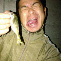 今秋、初ナイトアジング！